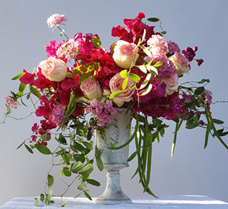 Bougainvillea and Indian Beans