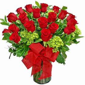 Luxe Long Stem - Premium 2 Dozen Roses (Choose Color)
