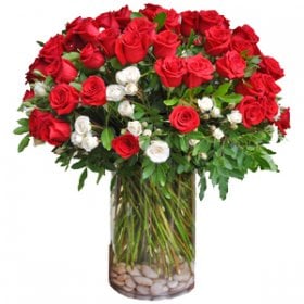 7 Dozen Roses (Any Color)