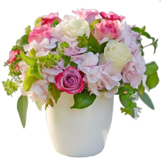 Fragrant Rose Garden - Click Image to Close