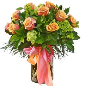 Luxe Long Stem - Premium Dozen Apricot Roses