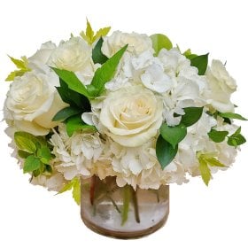 Compact Hydrangea & White Roses