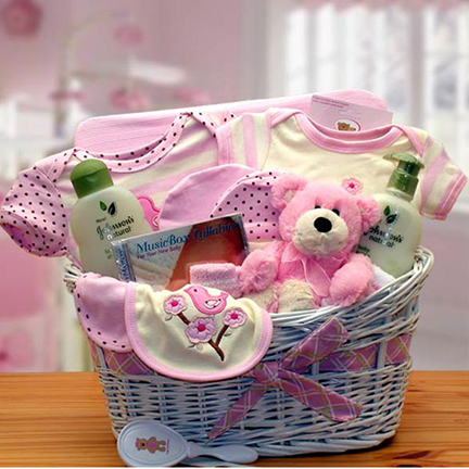 simply baby necessities gift basket
