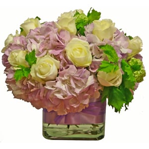 MD_Hydrangea Couture - Click Image to Close