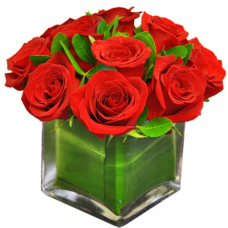 Dozen Rose Contempo - Click Image to Close