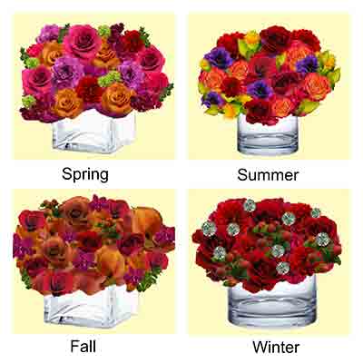 Select Vibrant Flowers