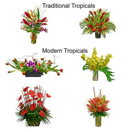 Tropical & Exotic Flowers